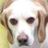 sateliter's profile image