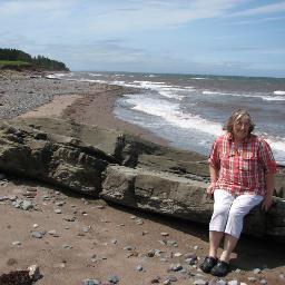 little_65's profile picture. Assistant Librarian, semi retired , enjoy music, reading, gardening, and my family.