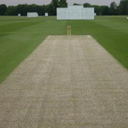 Just another cricket afficionado