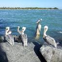 camden jackson lucas - @camdenjacksonlu - Twitter