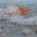 Kari Richards - @40KJR - Twitter