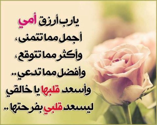 الرجاء دعم هذا الحساب #فضلا_وليس_امرا