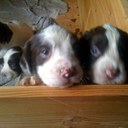 Gordon Farmer - @gfarmer1986 - Twitter