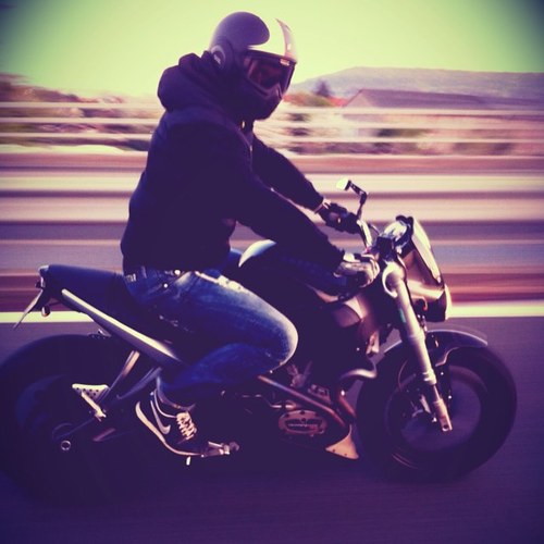 BLeopards's profile picture. Un jour j'irai vivre en theorie, parce qu'en theorie tout se passe bien.