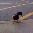 Bryan Preston  - @Bryanpreston4 - Twitter