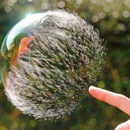 siegel46's profile picture. 