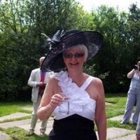 Carole Cressey (@clcressey) 's Twitter Profile