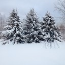 Ann Ticehurst - @TicehurstAnn - Twitter