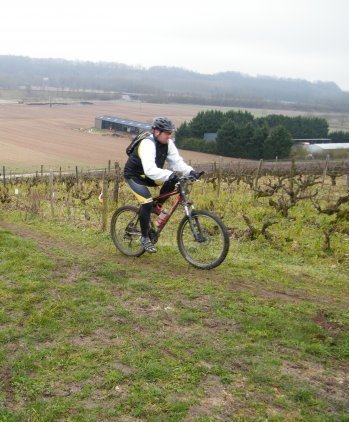 rimk37's profile picture. 