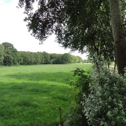 Hart voor Muiderberg zet zich in voor natuur, cultuur, economie, voorzieningen en leefomgeving van ons mooie dorp. Eerste punt: bestemmingsplan 2e hockeyveld.