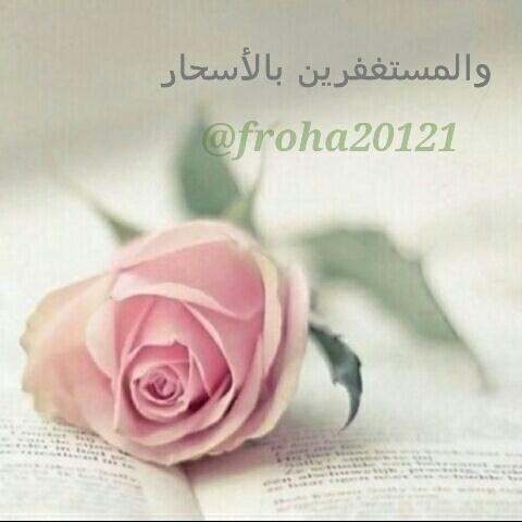 استغفرالله الذي لاإله إلا هو الحي القيوم وأتوب إليه
(حساب مخصص لنشر تغريدات عن الاستغفار)
اتمنى من الجميع يرسلون على المنشن استغفارات وراح انشرها لكم.....