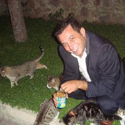 bandi_tuna's profile picture. 