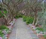 OppConnection's profile picture. 