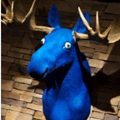 The Blue Moose is the place to meet friends and family in the neighborhood! Dine indoors, or al fresco while enjoying great food in the heart of PV!