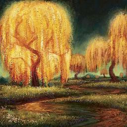 RhondaMissMews's profile picture. Multigenerational Nurse. SAR K9 Integrative Pet Therapeutics Consultant