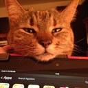 Joan Janes - @BojojanesJoan - Twitter