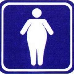 a culpa é do gordo