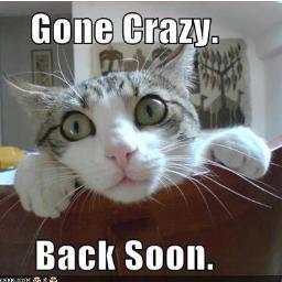 Not a big Twitterer...but hanging in there :)