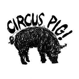 CIRCUS PIG!