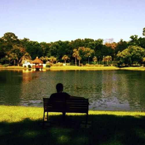 sebas709's profile picture. 