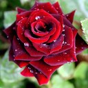 faith-hope-love - @juliet_avery - Twitter