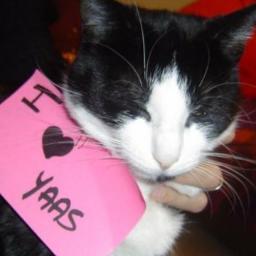 ysmintz's profile picture. Music is my love *insert e-hearts here*