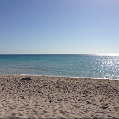 kaynak_ozge's profile picture. 