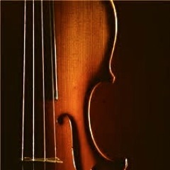Blue Valley West String Orchestra🎻