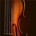 BVW_Orchestra (@bvw_orch) Twitter profile photo