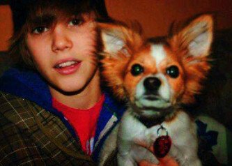 his angel xx.i love jb, taylor swift, selena gomez, ariana grande, miley cyrus, 1d:*