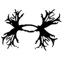 Kaleb Haney - @khaney18 - Twitter