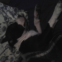 jenny gil manubens - @jenny26nadia - Twitter