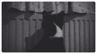 joeri_vos's profile picture. 