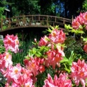 Sydney Workman - @SydneyWorkman4 - Twitter