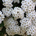 Barb Snow - @BarbSnow1 - Twitter