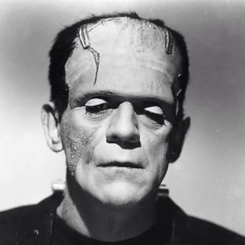 roddycarlson's profile picture. Don't f'ing follow me!!!!!