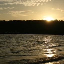 8ECore201's profile picture. 