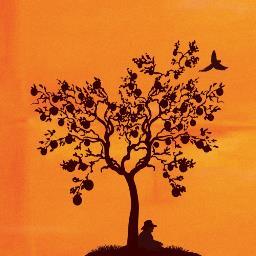 WiggOrchard's profile picture. Fruit grower, blacksmith, grandfather and cricket tragic