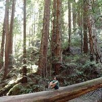 Peter Leonard (@peter_j_leonard) 's Twitter Profile