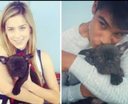 Eu faria tudo o que fosse possivel só pra ver vocês felizes @sophiaabrahao, @micaelborges_, @gabrielarippi e @adrpollo eu amo vocês s2