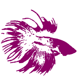 BetaMarketing's profile picture. Beta Marketing provides marketing and advertising services. We specialize in web design, promotional products, and mobile app design.