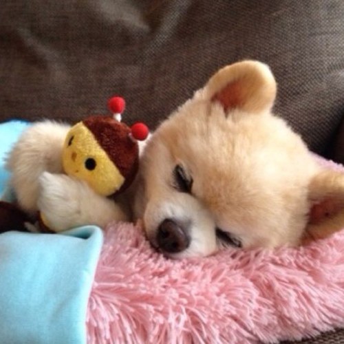 APBYS__'s profile picture. 