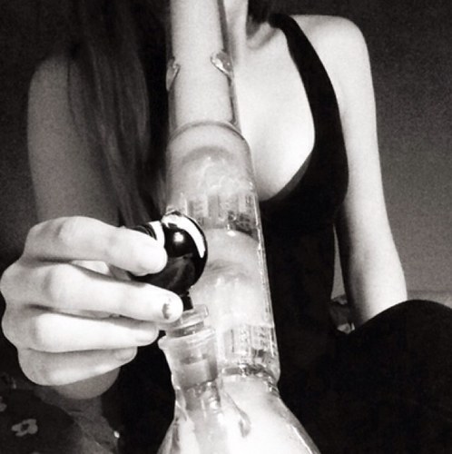 boobsbudandbeer's profile picture. Your typical stoned, opinionated, alcoholic, rather horny, well-educated, flirtatious, bitch. If you love bad bitches, I'm def your fucking problem