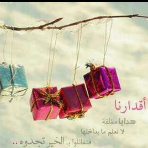 لعلي أغرس غرساً والله ينبته نباتاً حسنا 🌱