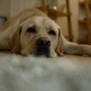 Jack Bitner - @JackBitner - Twitter