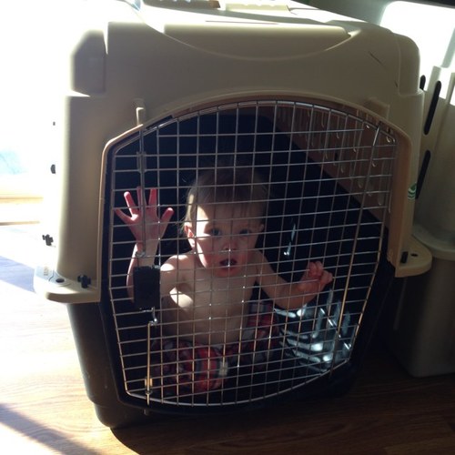 mjanderson21's profile picture. 