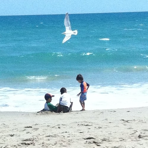 JohnFiore2's profile picture. Husband, Dad, Physical Educator, Dept. Chair, Football Coach, Wrestling Coach, SIU’91 & WXRTfan