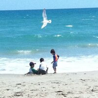 John Fiore (@johnfiore2) 's Twitter Profile