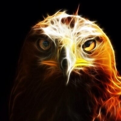 AuburnLegends's profile image