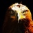 AuburnLegends's profile image